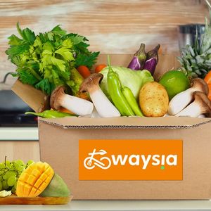 Waysia a été fondée par Yejun Fan et Yingfeng Li, deux entrepreneurs chinois installés en France.