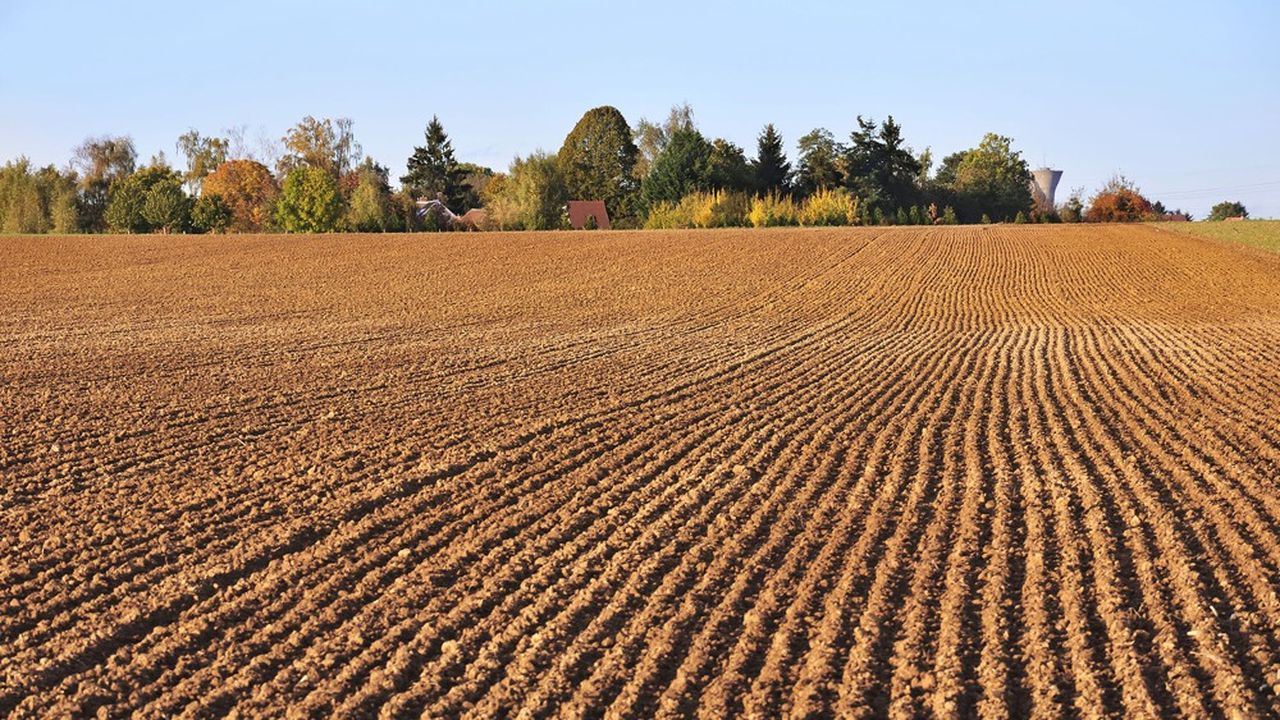 La Caisse d'Epargne Bretagne Pays de Loire a octroyé un premier prêt à impact à la société bretonne Gaïago, qui développe des produits pour revitaliser les sols.