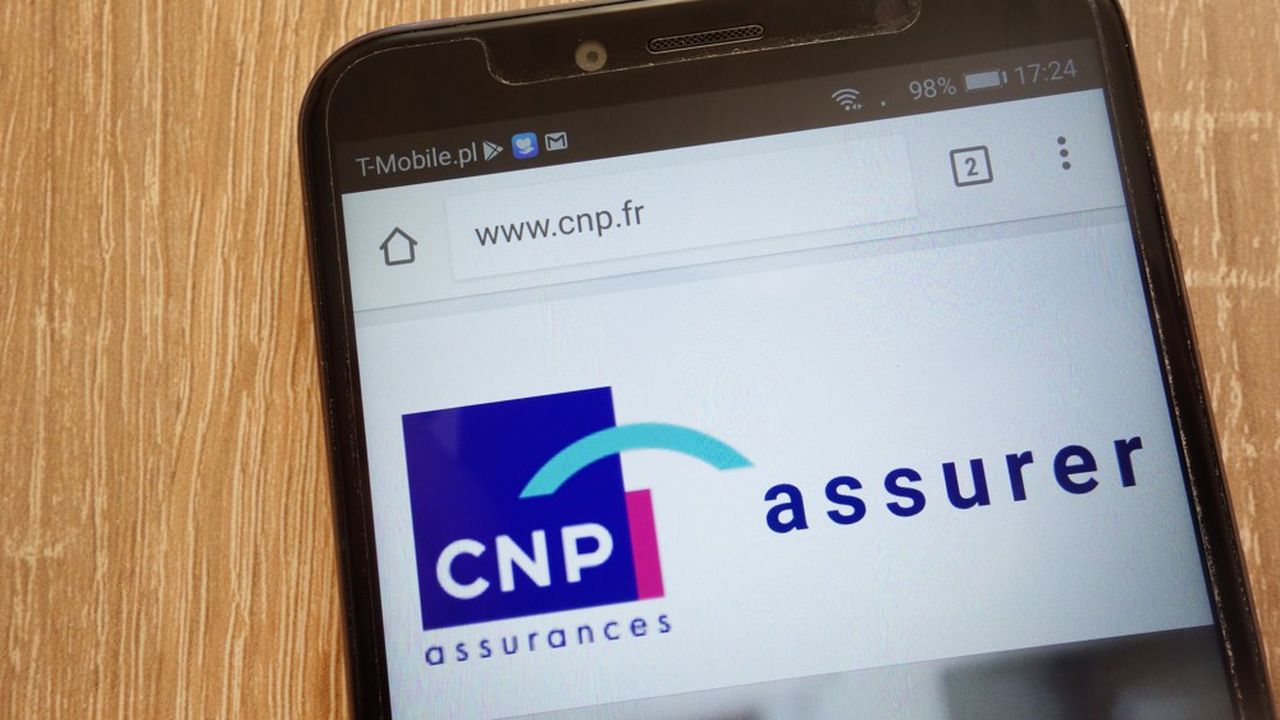 CNP Assurances Poursuit Son Développement Au Brésil | Les Echos