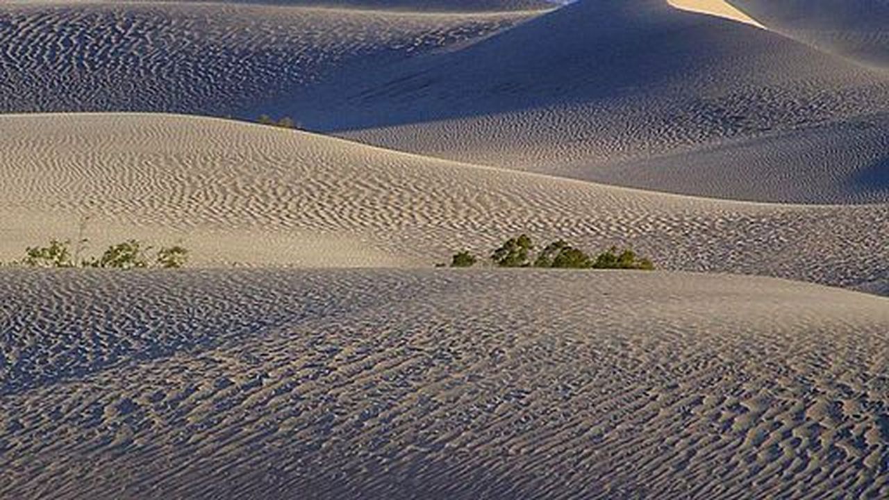 920240_1381738870_deserts-sand-dunes-tracks.jpg