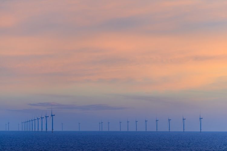 La ferme d'éoliennes offshore d'Hornsea.