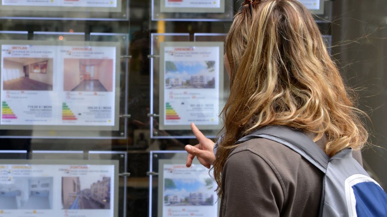 Une femme regarde les annonces immobilières dans une agence a Grenoble, en 2020.