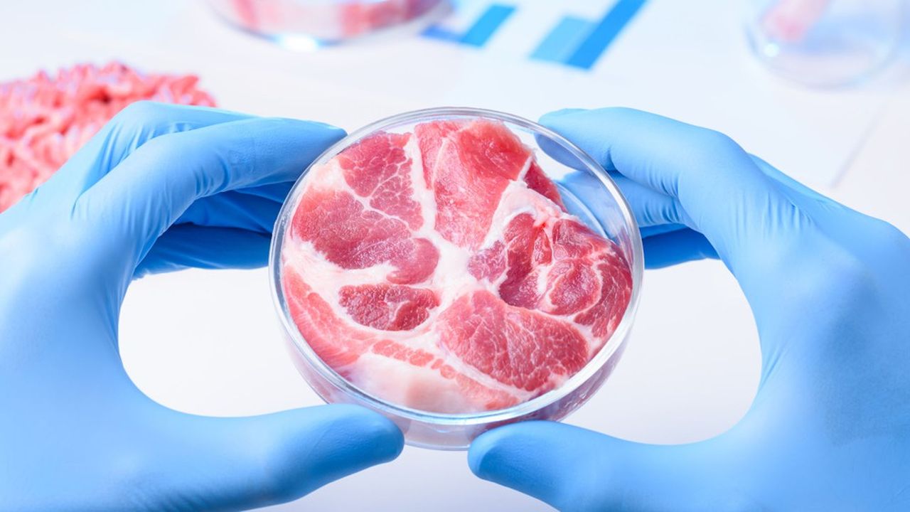 Tout comprendre à la viande artificielle en six questions