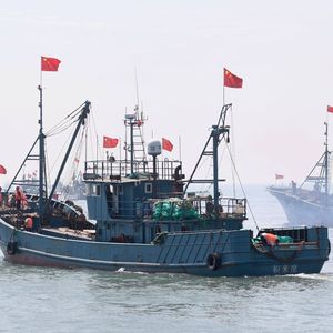En vingt ans, la flotte de pêche chinoise a considérablement augmenté.