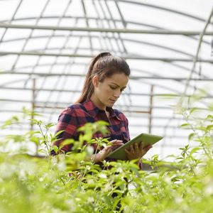 Les nouvelles technologies de l'agriculture pourraient d'abord attirer une nouvelle génération de paysans plus moderne.