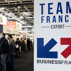 La Team France Export est constituée des équipes dédiées à l'international de Business France, des CCI et de Bpifrance.