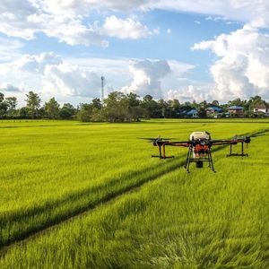 Les drones de DJI peuvent être utilisés dans l'agriculture, pour répandre des pesticides et des engrais.
