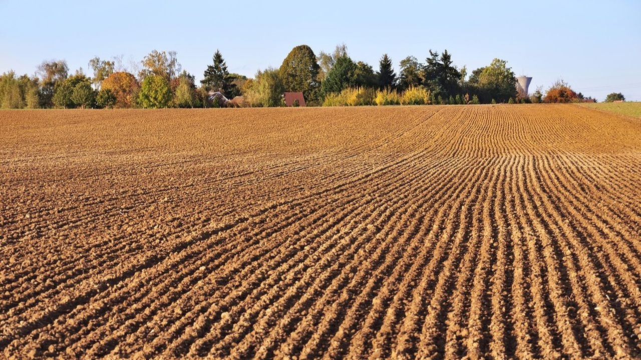 Dans le Gard, le dérèglement climatique et les épisodes cévenols déstructurent les sols.