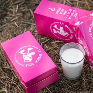 Le lait de « La Brique rose » provient de 8 exploitations de 13 éleveurs du sud de la Haute-Garonne.