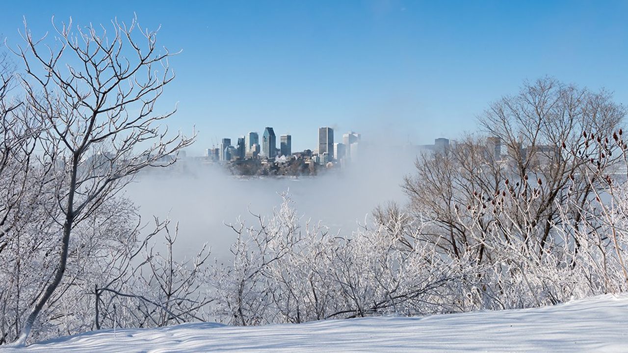 Vue panoramique de la ville de Montréal enneigée.