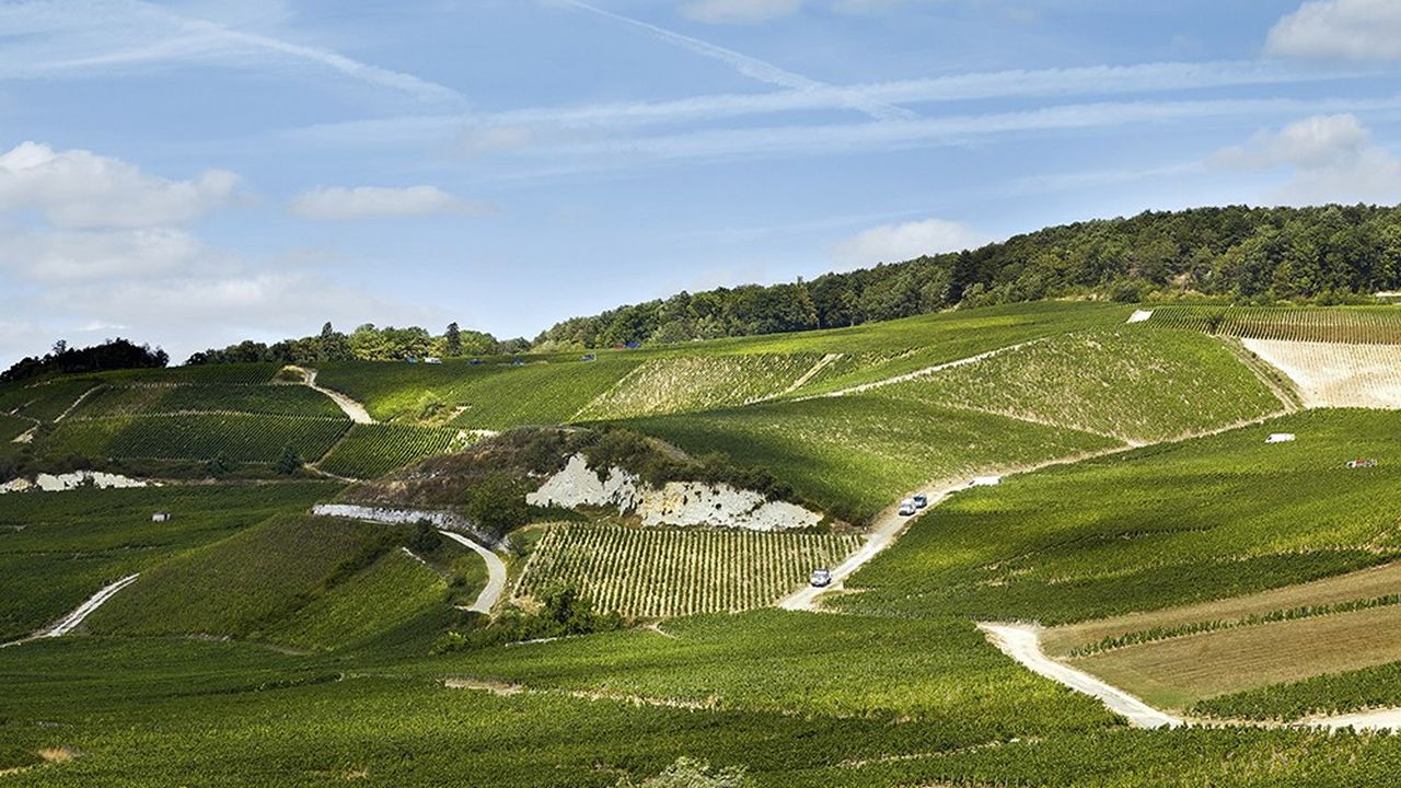 Bollinger, La Côte aux Enfants. Le vin plus célèbre des Coteaux champenois existe depuis 1934.