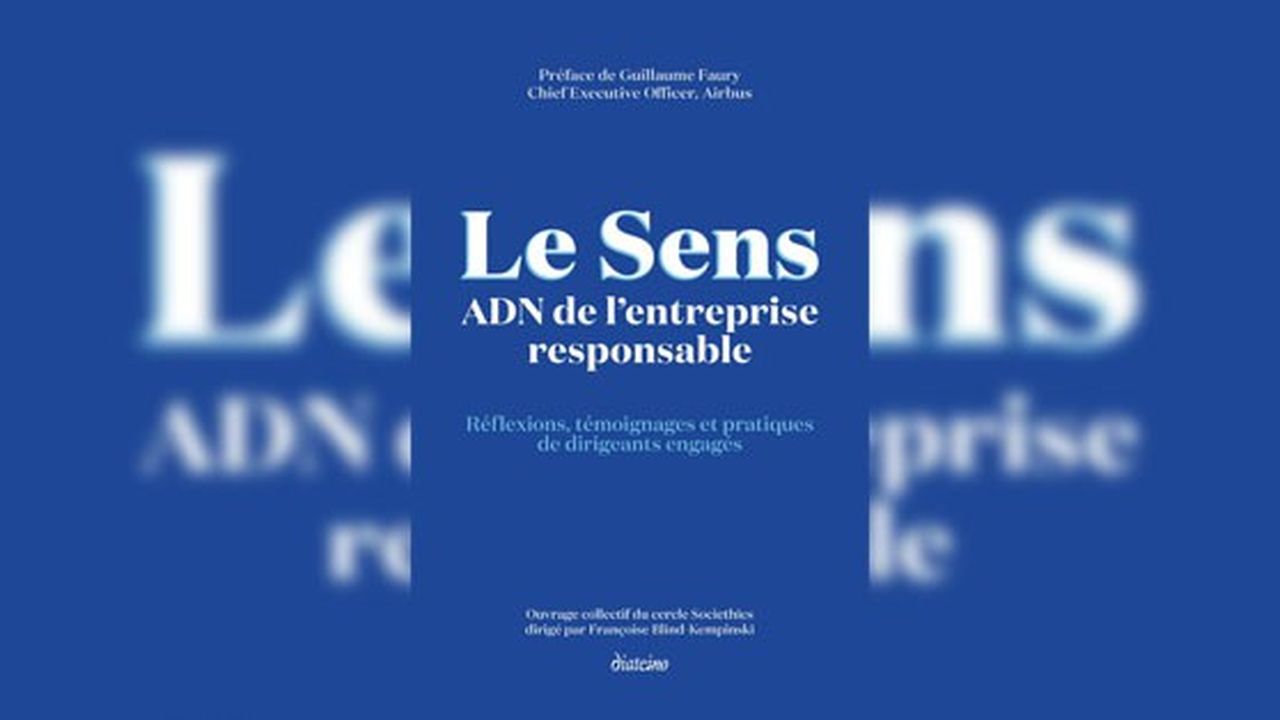 « Le Sens. ADN de l'entreprise responsable », sous la direction de Françoise Blind-Kempinski. Editions Diateino.