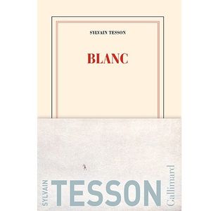 Blanc est un roman iniatique, où le voyage et l'immersion dans une nature poétique permettent de se retrouver soi-même.