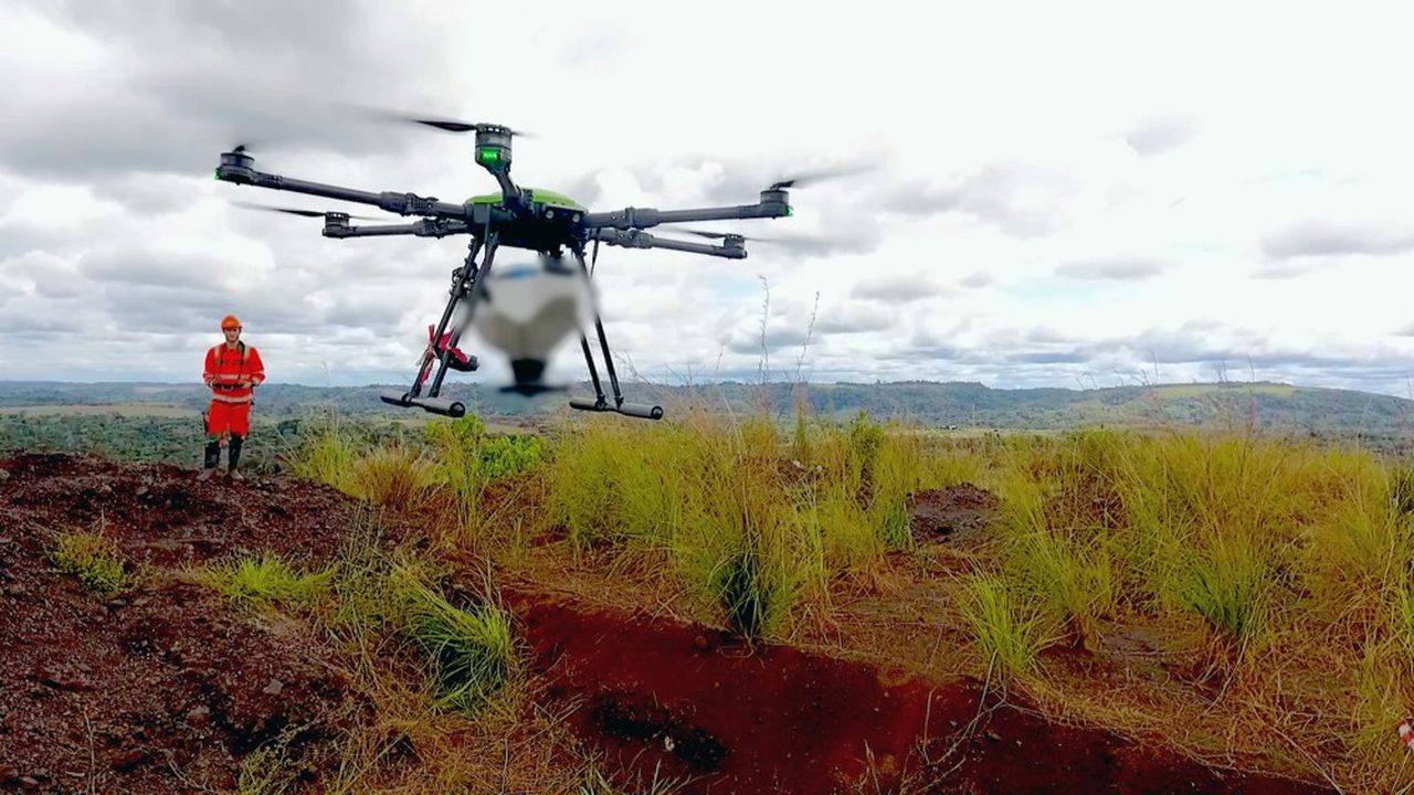 La start-up Morfo restaure les forêts grâce à des drones