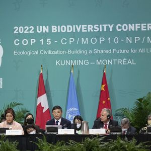 Huang Runqiu (au centre) était le président de cette COP 15.