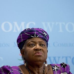 La directrice générale de l'OMC, Ngozi Okonjo-Iweala, a fustigé les pays membres pour l'absence de négociations au cours des six derniers mois.