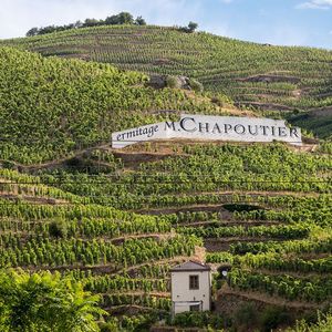 Le vignoble vise une hausse de la production de 0,9 % par an pour les quelque 5.000 exploitations viticoles qu'il abrite.