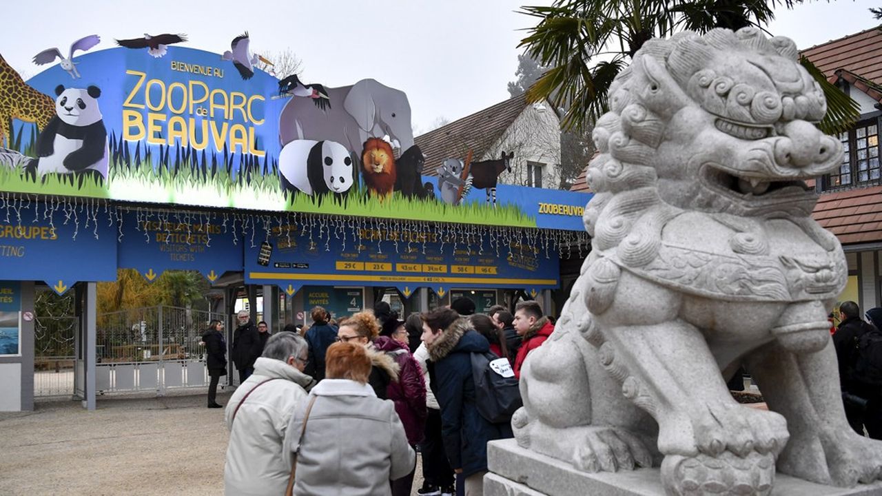 La renommée du zoo de Beauval a été dopée par son couple de pandas prêtés par la Chine.