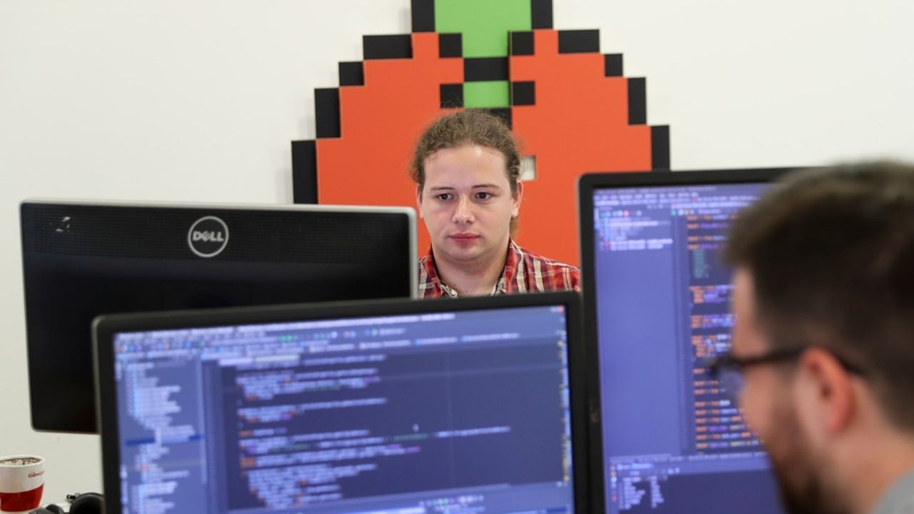 Plus de 50.000 personnes travaillent dans le domaine de la « programmation informatique, conseil et activités connexes » à Belgrade (Serbie).