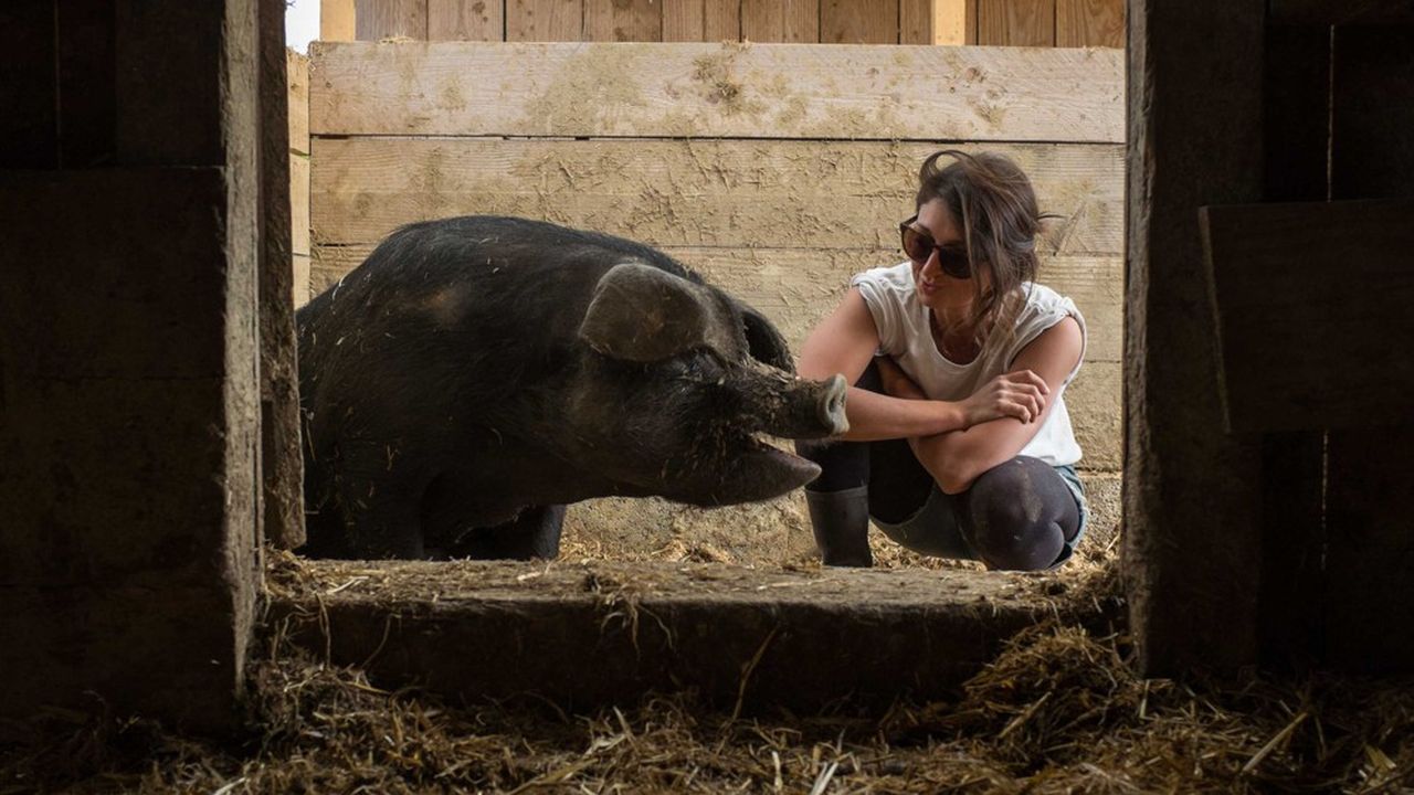 Noémie Calais, 32 ans, élève des porcs noirs certifiés bio.