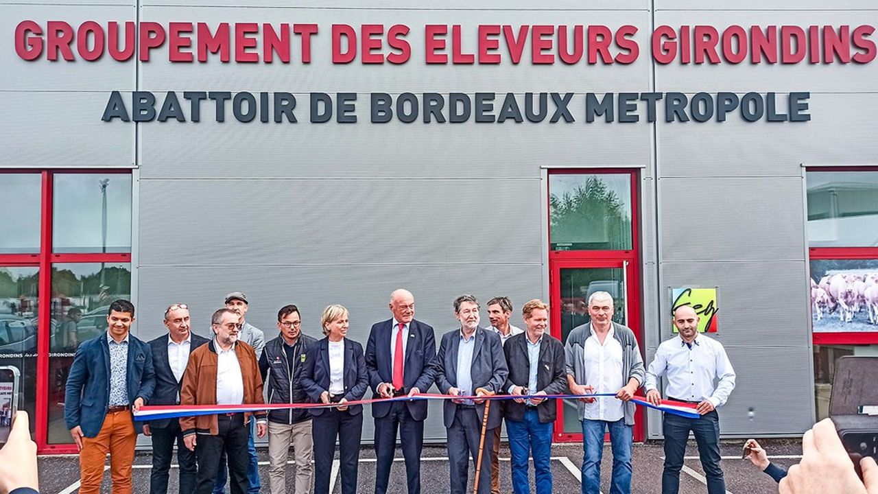 L'abattoir, inauguré en octobre à Bègles (Gironde), a nécessité un investissement de 5,2 millions d'euros.