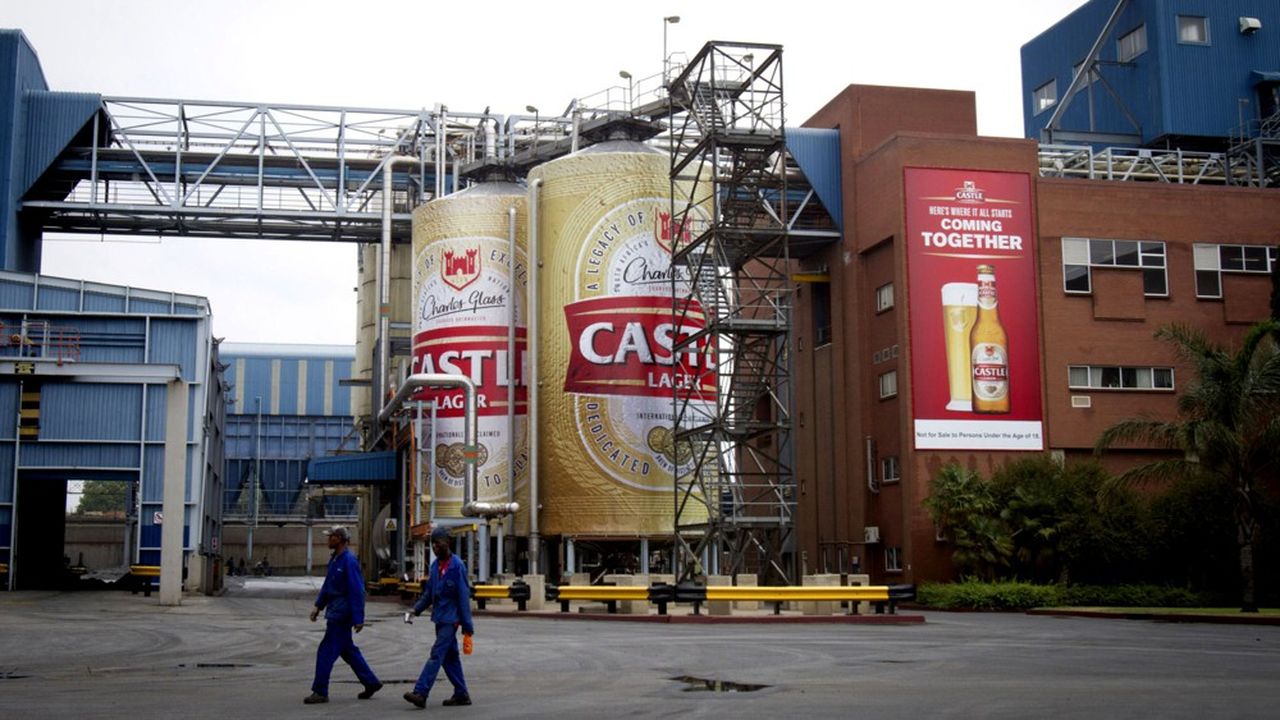Castel, qui est présent dans 21 des 56 pays d'Afrique, cherche à s'implanter sur un plus grand nombre de marchés du continent.