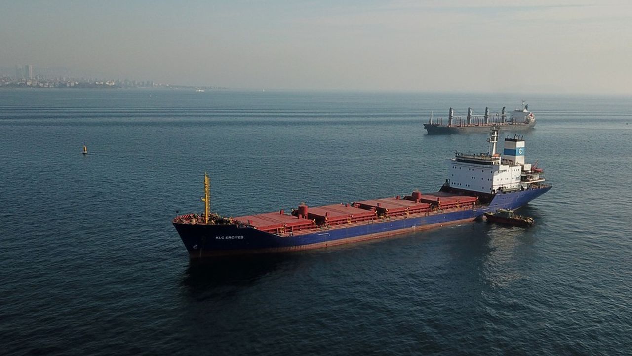 L'ouverture d'un corridor maritime pour les exportations ukrainiennes n'est pas suffisante pour le président de l'Association céréalière ukrainienne.