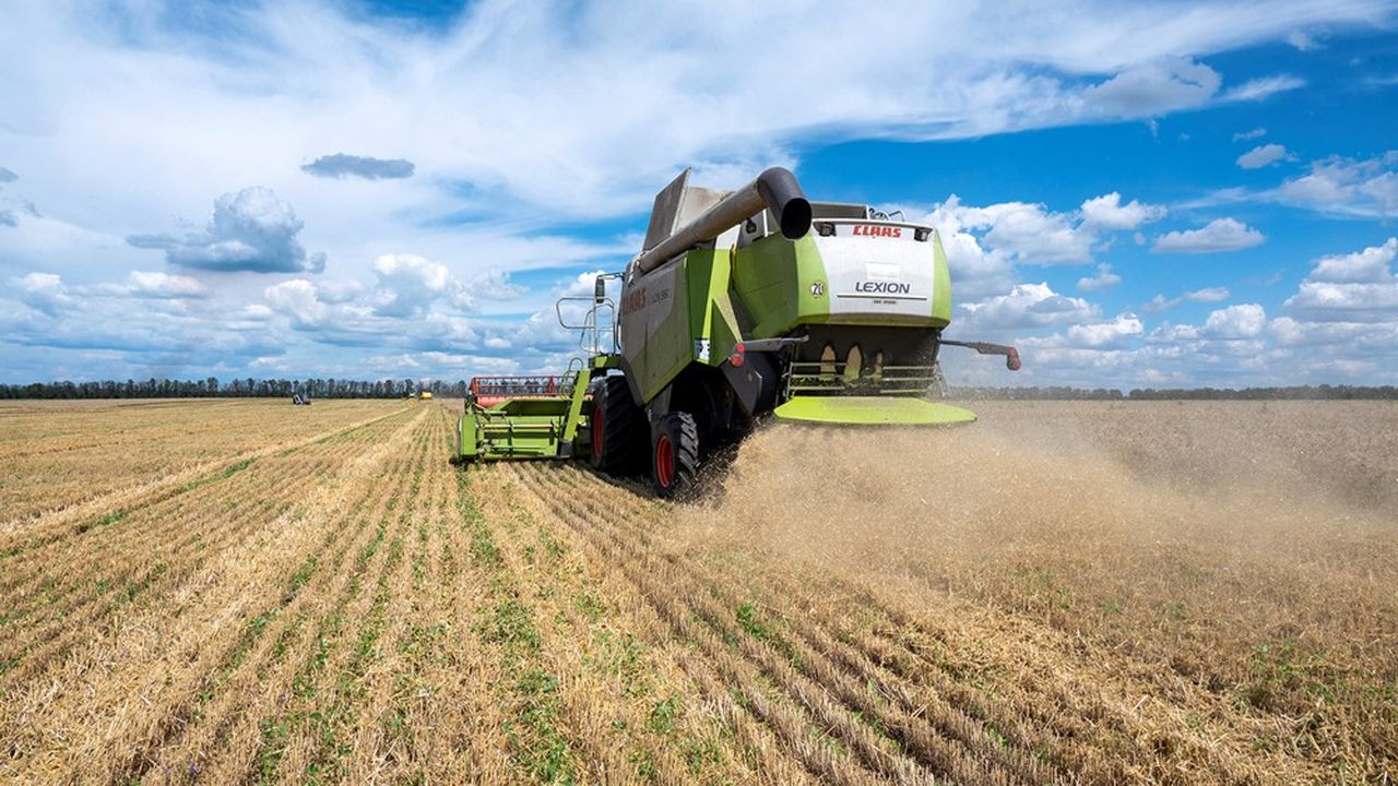 Les surfaces ukrainiennes cultivées en blé vont chuter de 7 millions d'hectares avant-guerre à 4 millions d'hectares.