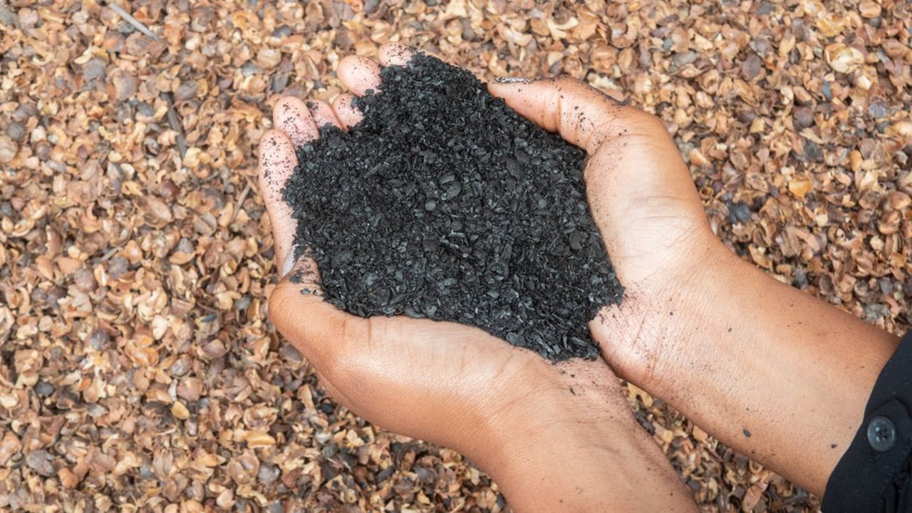 La start-up fabrique du biochar, une poudre fertilisante à enfouir dans le sol, dans des usines présentes en zones tropicales.