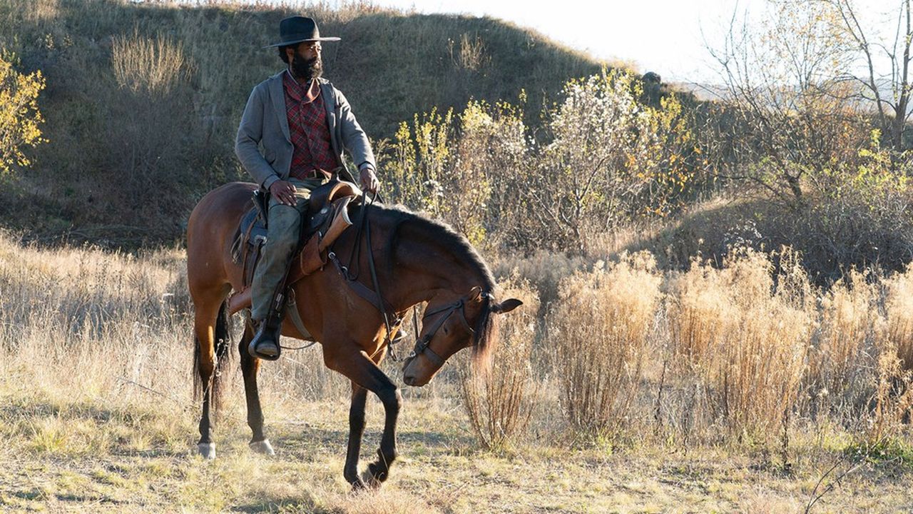 Dans la série «Django�», remake du film culte de Quentin Tarantino, Nicholas Pinnock interprète John Ellis, ancien esclave cofondateur de La Nouvelle Babylone.