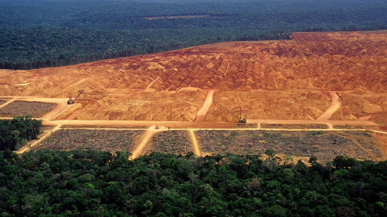 En janvier 2023, 167 km2 de forêt ont été rasés en Amazonie brésilienne contre 430 km2 un an plus tôt.