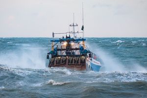 Au total, la France a obtenu 1.054 licences de pêche du Royaume-Uni et des îles anglo-normandes.