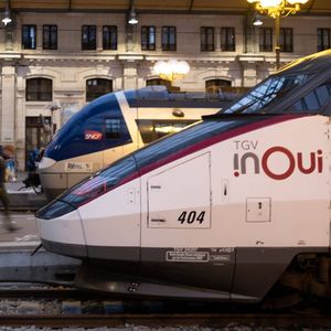 Un TGV Inoui au premier plan, et un TER au second.