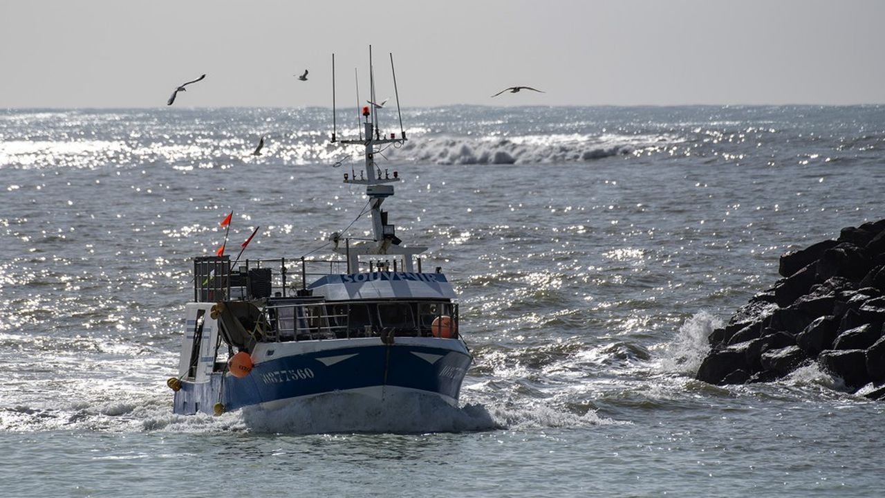 Forte de près de 5.000 bateaux, la flotte de pêche française est âgée de 30 ans en moyenne.