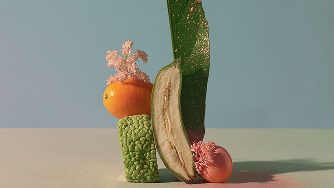 «Grace» (2022), d'Anastasia Kolesnichenko. Sculptrice et photographe, l'artiste russe compose d'étonnantes natures mortes, avec des fleurs, des fruits, des coquillages.