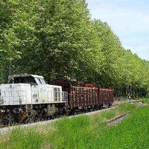 Railcoop espère toujours faire revivre la ligne Bordeaux-Lyon et devenir le premier opérateur alternatif de trains classiques entre villes de province.