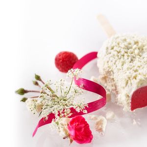 L'Eski vacherin, dessert revisité en forme de bâtonnet, a reçu le coup de coeur du magazine France Snacking.