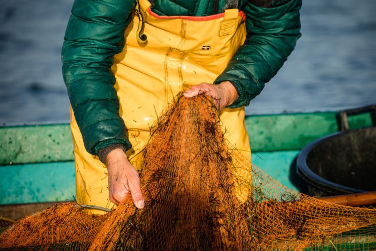 Poiscaille : la pêche durable du filet à l'assiette en circuit court - WE  DEMAIN