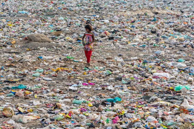 Lutte contre la pollution : Plastique ou papier ? La vérité sur