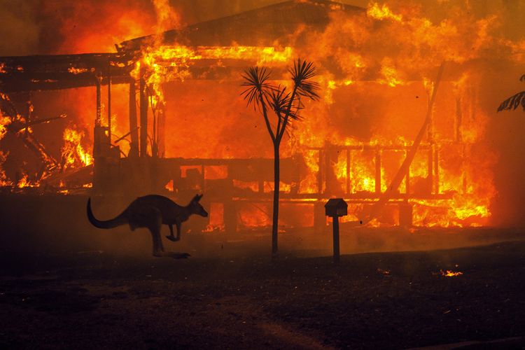 Australie-Incendies-Pano-REA.jpg