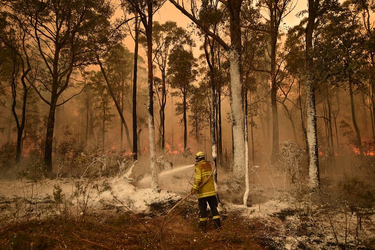 Aus-pompiers-mousse-AFP.jpg