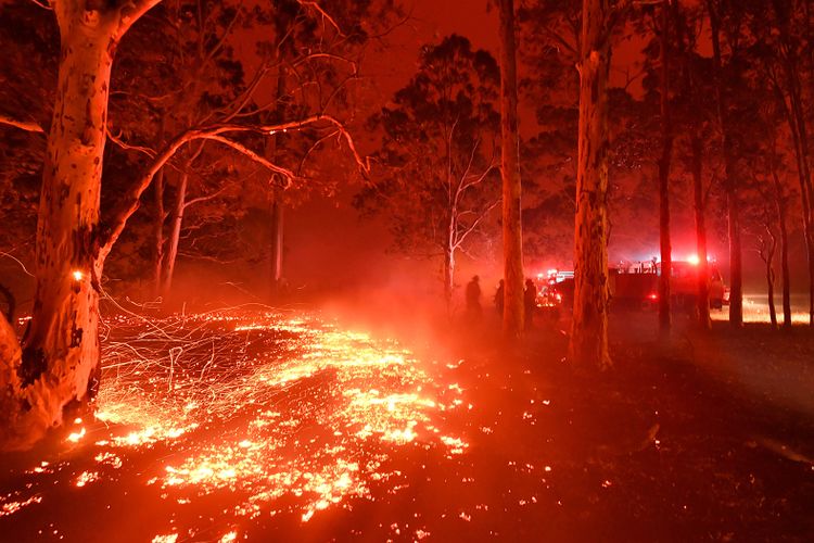 Aus-situation-incendies-AFP.jpg