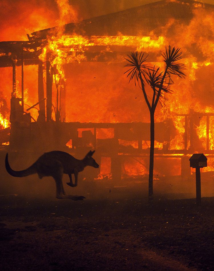 Australie-Incendies-V2.jpg