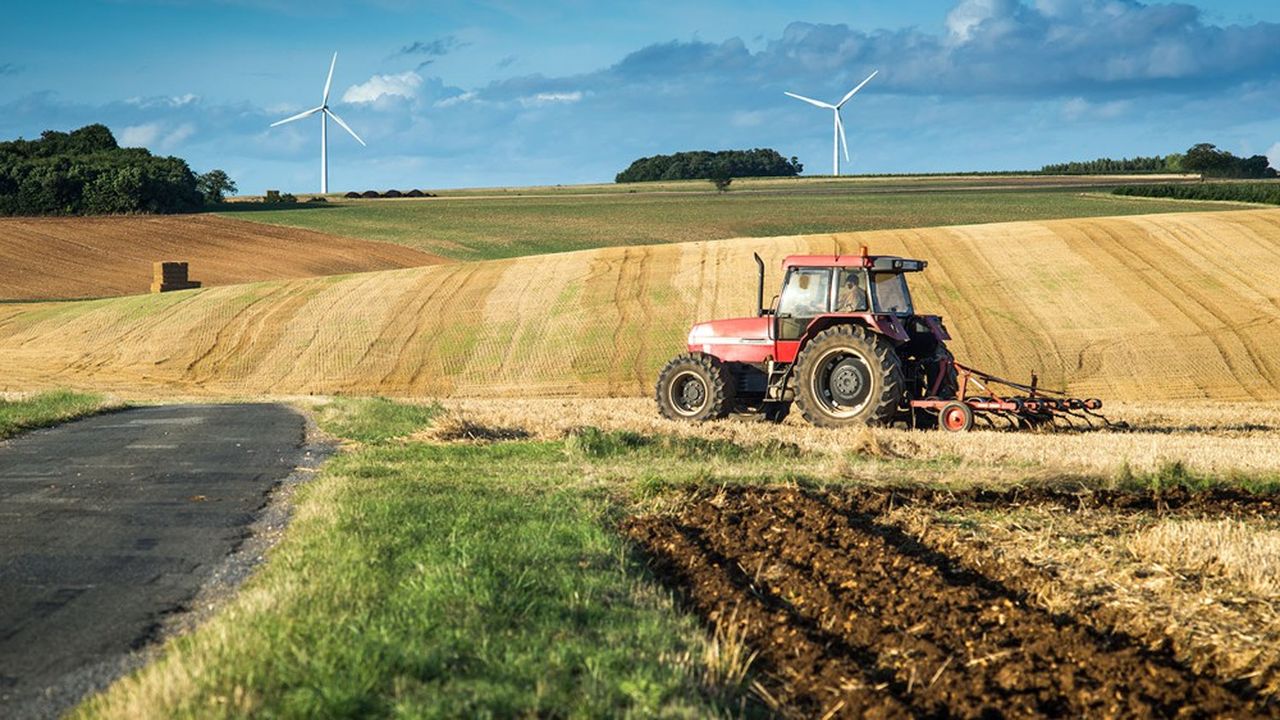 En France, un agriculteur loue ses terres en moyenne à 14 propriétaires différents.