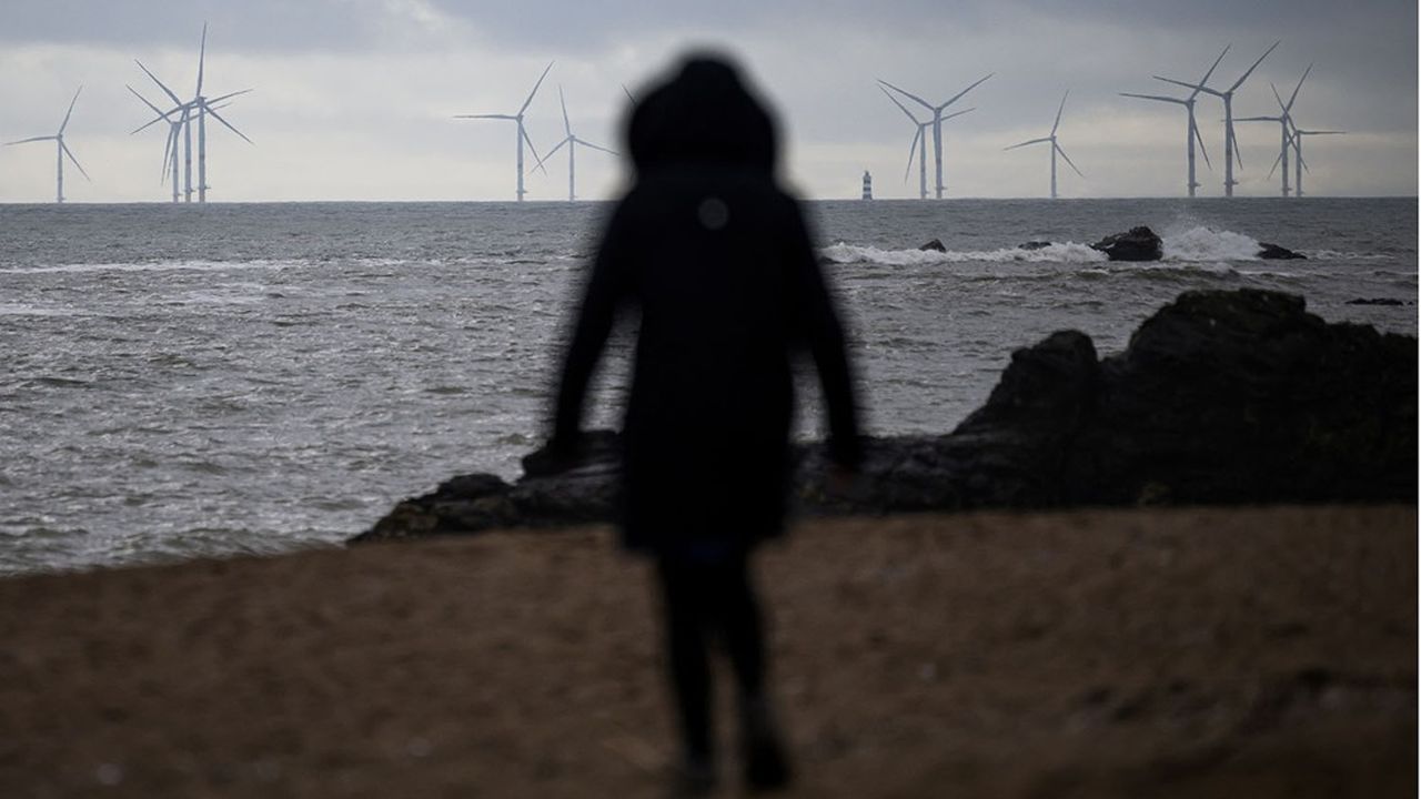 EDF décroche le parc d'éoliennes XXL au large de la Normandie et écrase ses rivaux