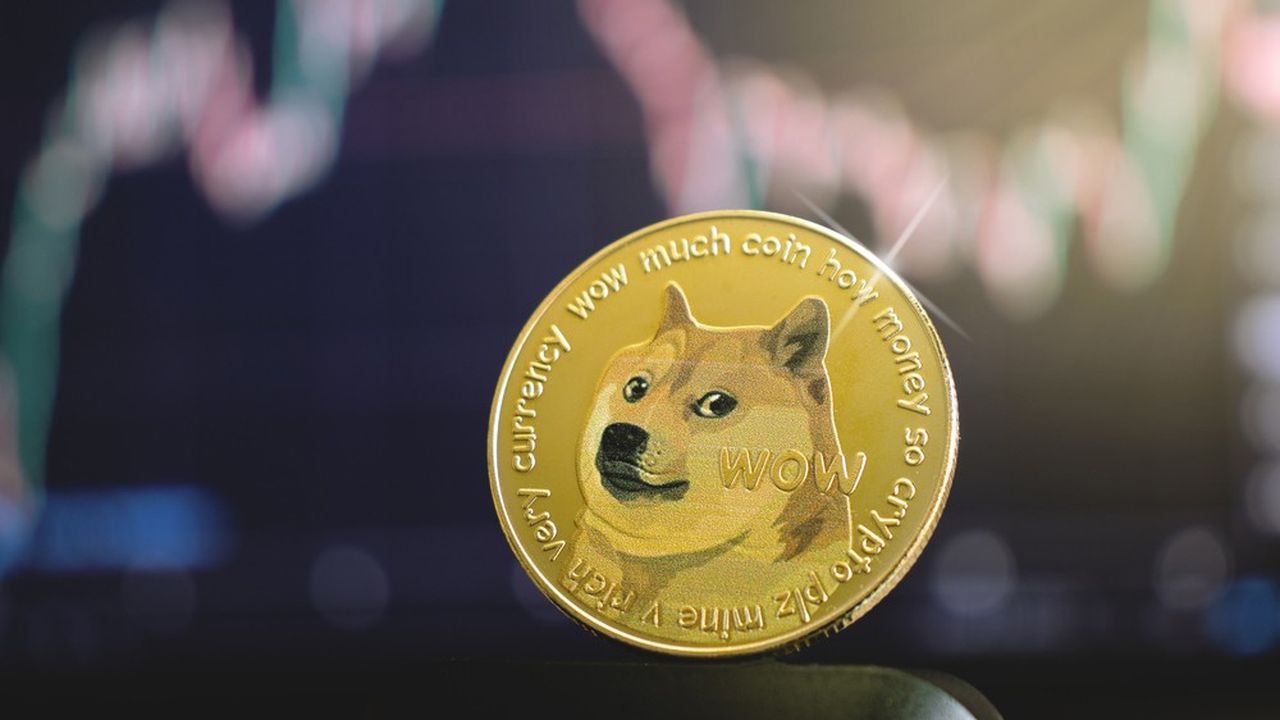 Dogecoin franchit 0,1 $ : la saison des mèmes commence ?