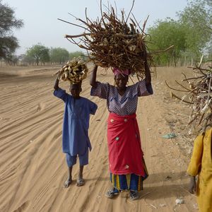 Bien que le plus touché, le Niger voit sa situation s'améliorer, selon l'Unicef.