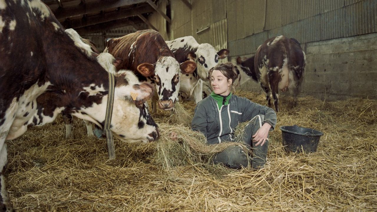 Léa, 26 ans, jeune agricultrice éleveuse, est productrice de lait dans le Perche et travaille également dans son cabinet comme kinésithérapeute.