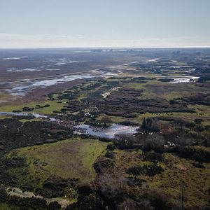 Les lagunes humides du parc de Doñana, dans le delta du Guadalquivir, sont menacées par les avancées de l'agriculture intensive.