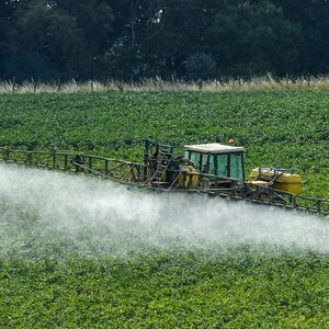Environ 350.000 tonnes par an de pesticides sont vendues tous les ans en Europe.
